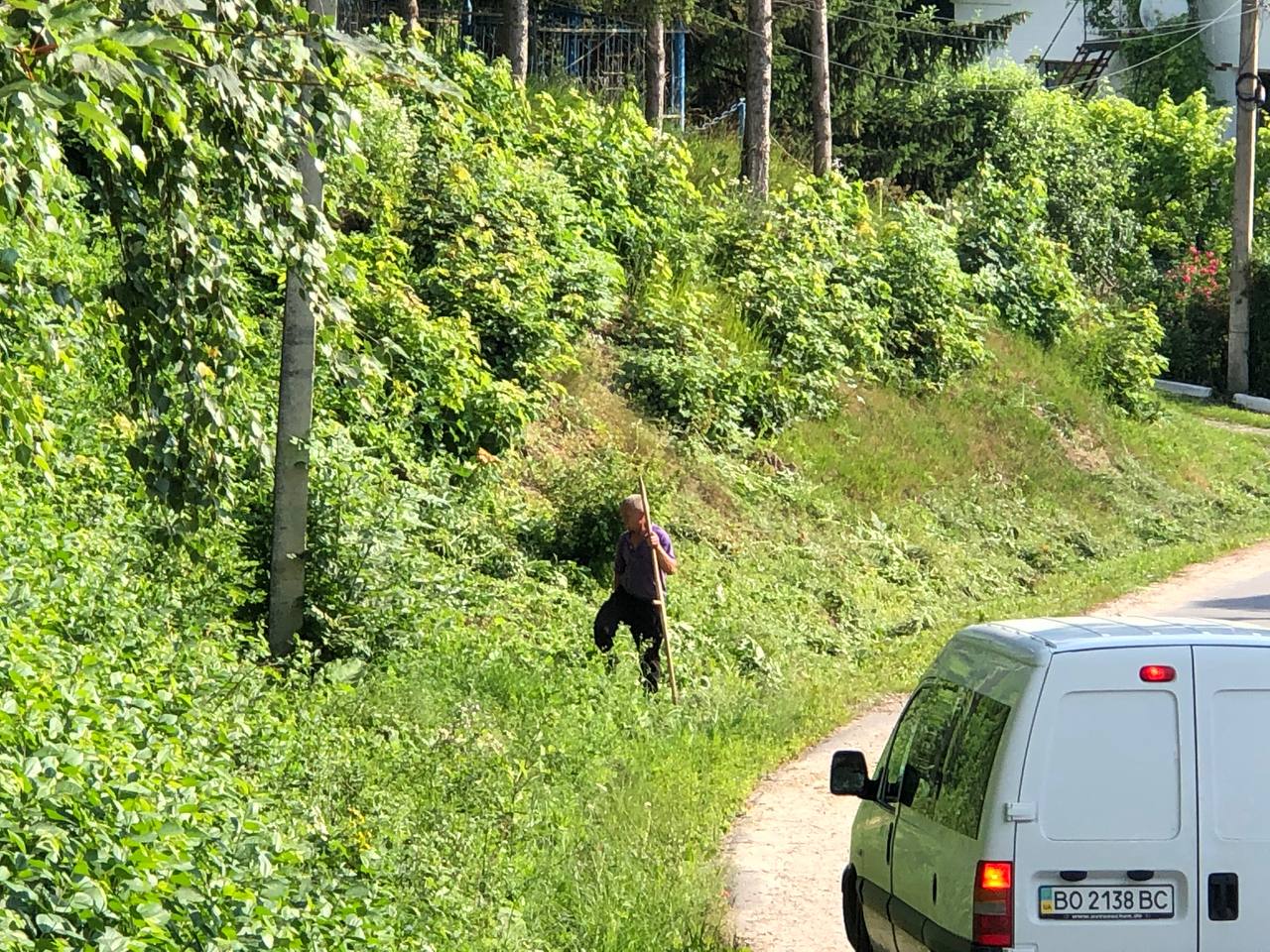 photo 2021 07 08 15.24.53