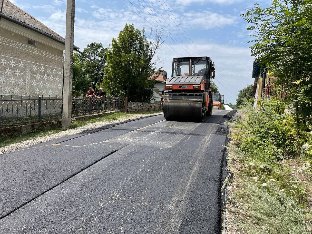 225682617 898774100674194 4798025617161155686 n