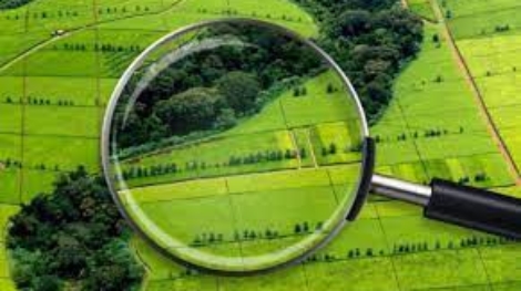 Великоберезовицька селищна рада проводить конкурс цінових пропозицій з виготовлення експертно – грошової оцінки на земельну ділянку