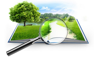 Великоберезовицька селищна рада проводить конкурс цінових пропозицій з виготовлення експертно – грошової оцінки на земельну ділянку