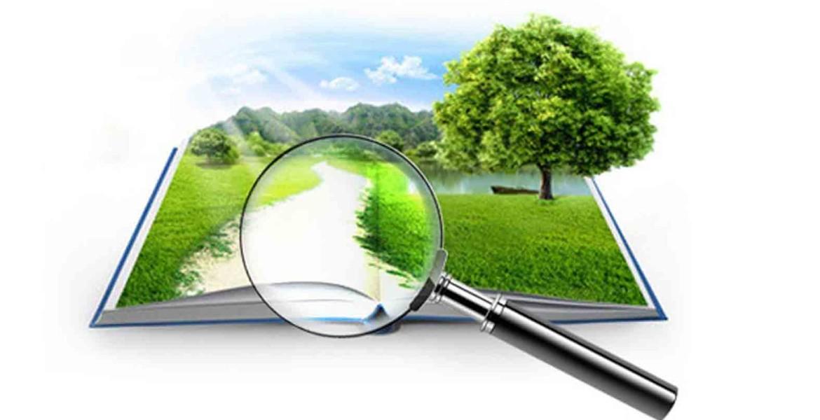 Грощова оцінка землі